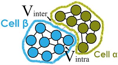 Dense agent-based HPC simulation of cell physics and signaling with real-time user interactions